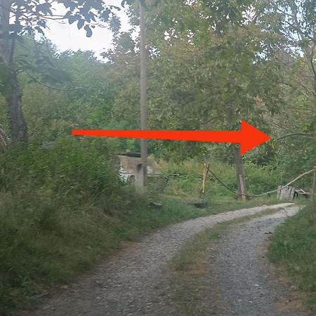 Willa Parraghegy Apartman Zalaszanto Zewnętrze zdjęcie